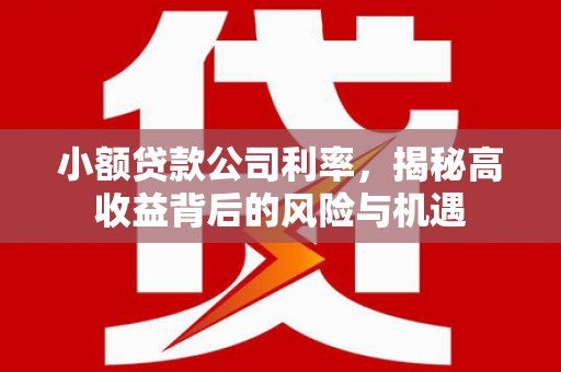 古冶小额贷款公司利率，揭秘高收益背后的风险与机遇