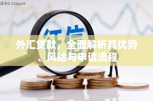 古冶外汇贷款，全面解析其优势、风险与申请流程