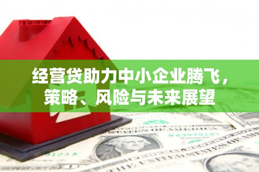 古冶经营贷助力中小企业腾飞，策略、风险与未来展望