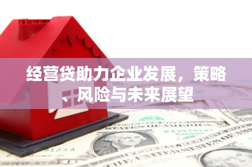 古冶经营贷助力企业发展，策略、风险与未来展望