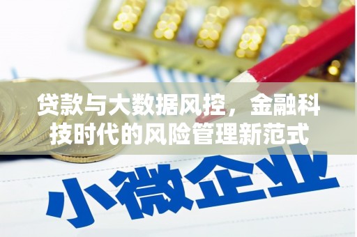 古冶贷款与大数据风控，金融科技时代的风险管理新范式