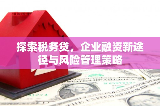 古冶探索税务贷，企业融资新途径与风险管理策略