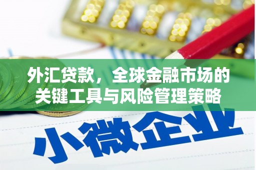 古冶外汇贷款，全球金融市场的关键工具与风险管理策略