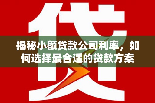 古冶揭秘小额贷款公司利率，如何选择最合适的贷款方案