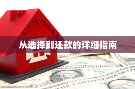 古冶从选择到还款的详细指南