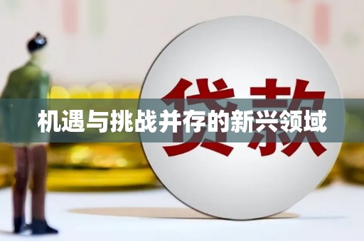 古冶机遇与挑战并存的新兴领域